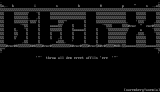 Bitch-X ASCII #1 by Nuremberg