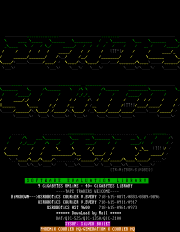 S.E.L BBS Advertisement by Trinitron