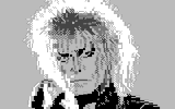 Jareth by Snake PETsken