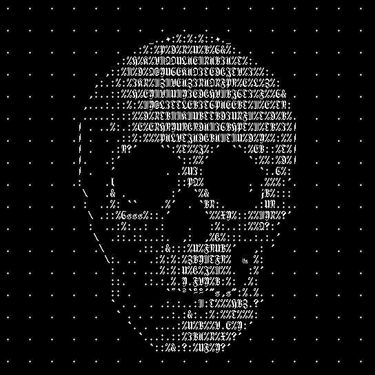 ASCII head by littlebitspace