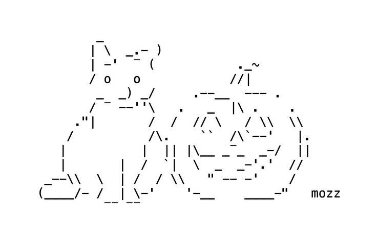 Cat and Pumpkin by Mozz
