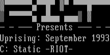 riot0993